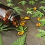 Les meilleurs produits à base de CBD disponibles en ligne