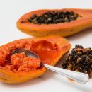 Quels sont les bienfaits de la papaye fermentée