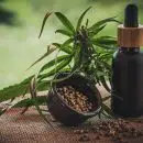 Comment consommer des fleurs de CBD pour profiter des bienfaits ?