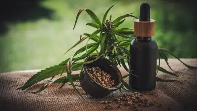 Comment consommer des fleurs de CBD pour profiter des bienfaits ?