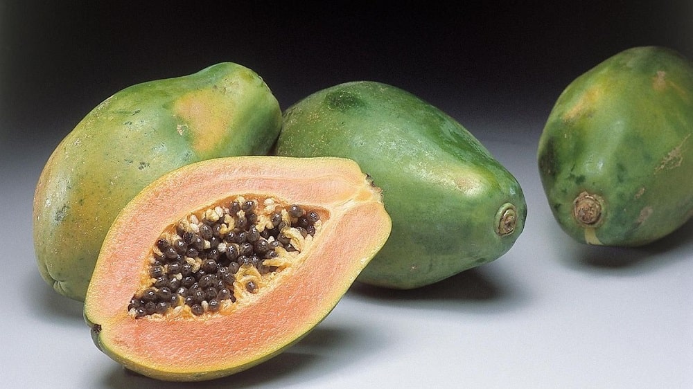 sont les bienfaits de la papaye fermentée