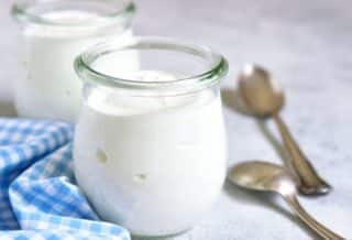 yaourts sans lactose