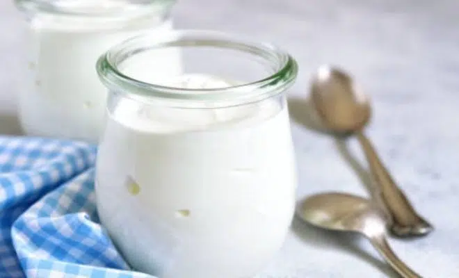 yaourts sans lactose
